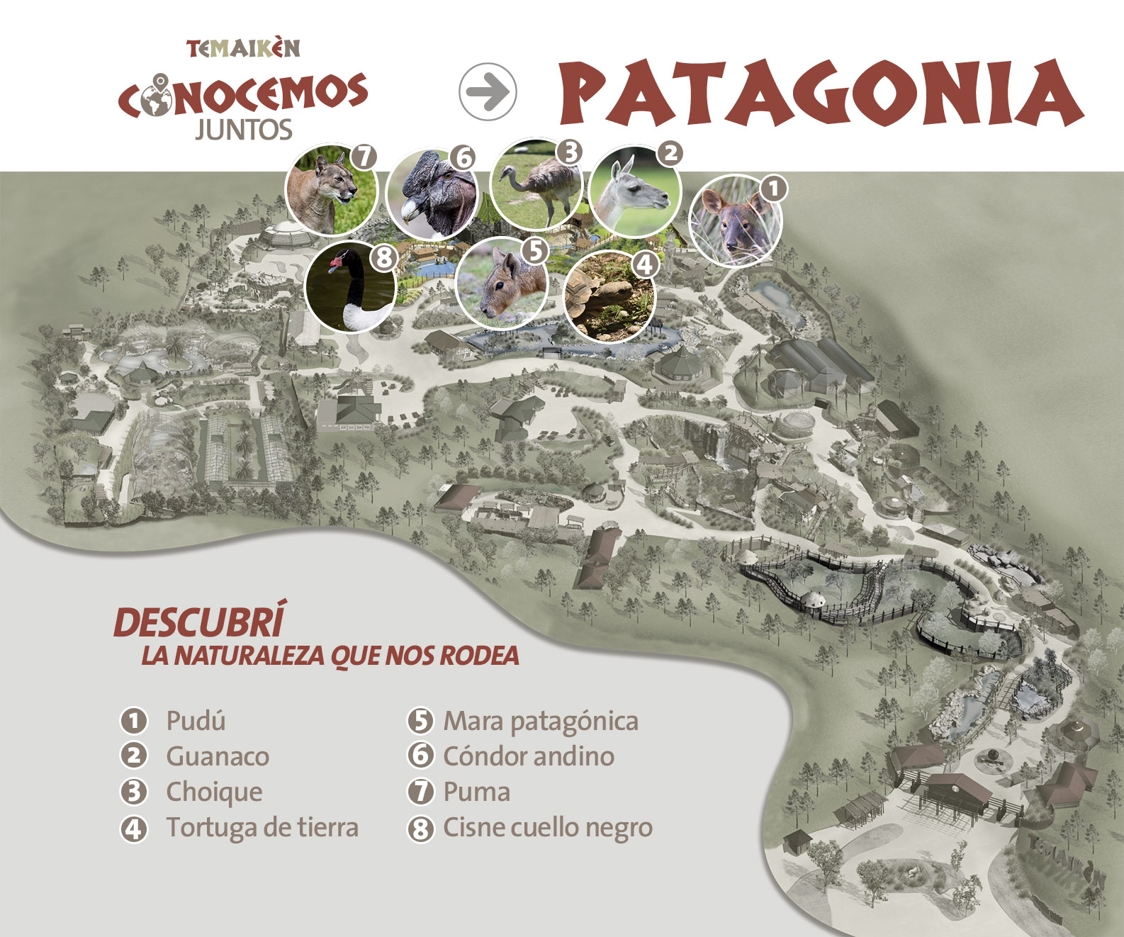 CONOCEMOS JUNTOS: Patagonia