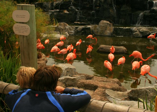 EL BIOPARQUE TEMAIKÈN PRESENTA UNA NUEVA EXPERIENCIA VIVENCIAL PARA LAS VACACIONES DE INVIERNO:...