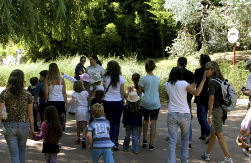 Turismo y Contingentes