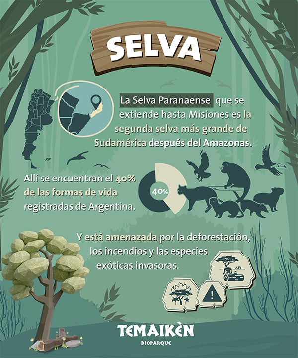 Guardianes 2022_ Info- Selva